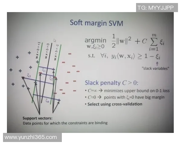 成都羽毛球队技术解析：从基础训练到比赛策略的全面探讨
