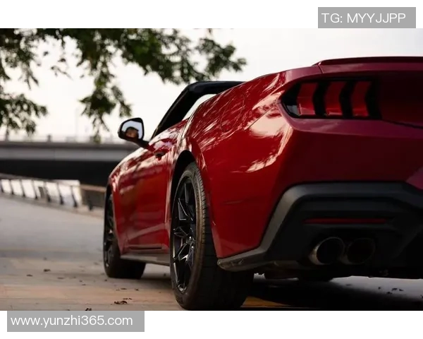 足球明星驾驶福特野马展现速度与激情的完美结合 足球明星驾驶福特野马展现速度与激情的完美结合