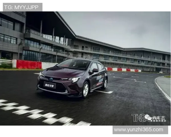 成都排球队在洲际杯中的耐力表现值得称赞展现出顽强拼搏的精神风貌