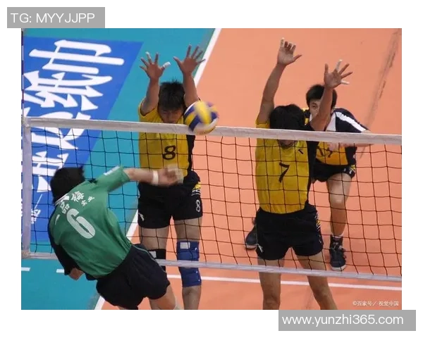 武汉排球队力压群雄创排球力量新高引发热议