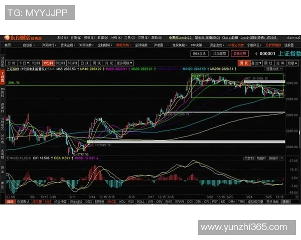 武汉羽毛球队与上海羽毛球队赛后复盘分析比赛节奏与战术对决